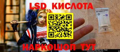 Альфа ПВП Сланцы
