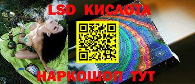Альфа ПВП Сланцы