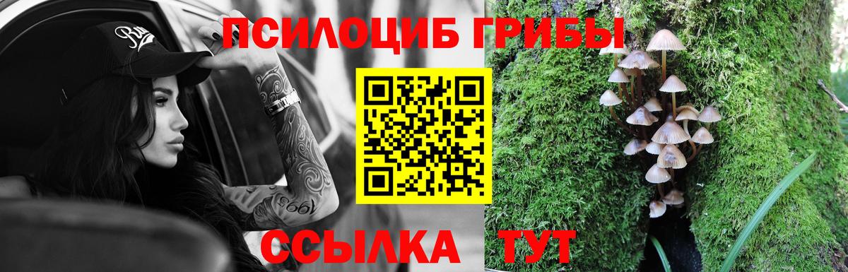 Псилоцибиновые грибы мицелий  Вход с VPN  Псилоцибиновые грибы Cubensis  Протвино 
