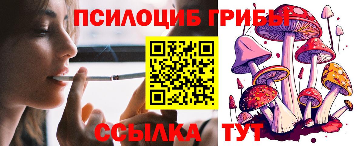 Псилоцибиновые грибы GOLDEN TEACHER Протвино